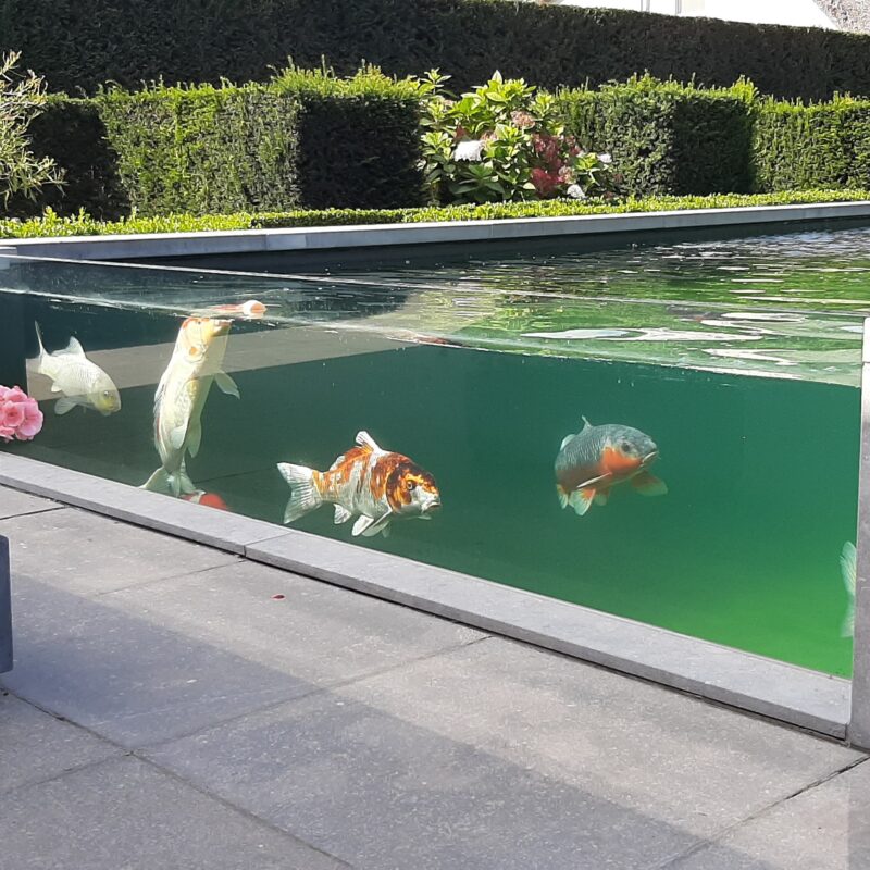 Solitherm visvijver 20200910 141646