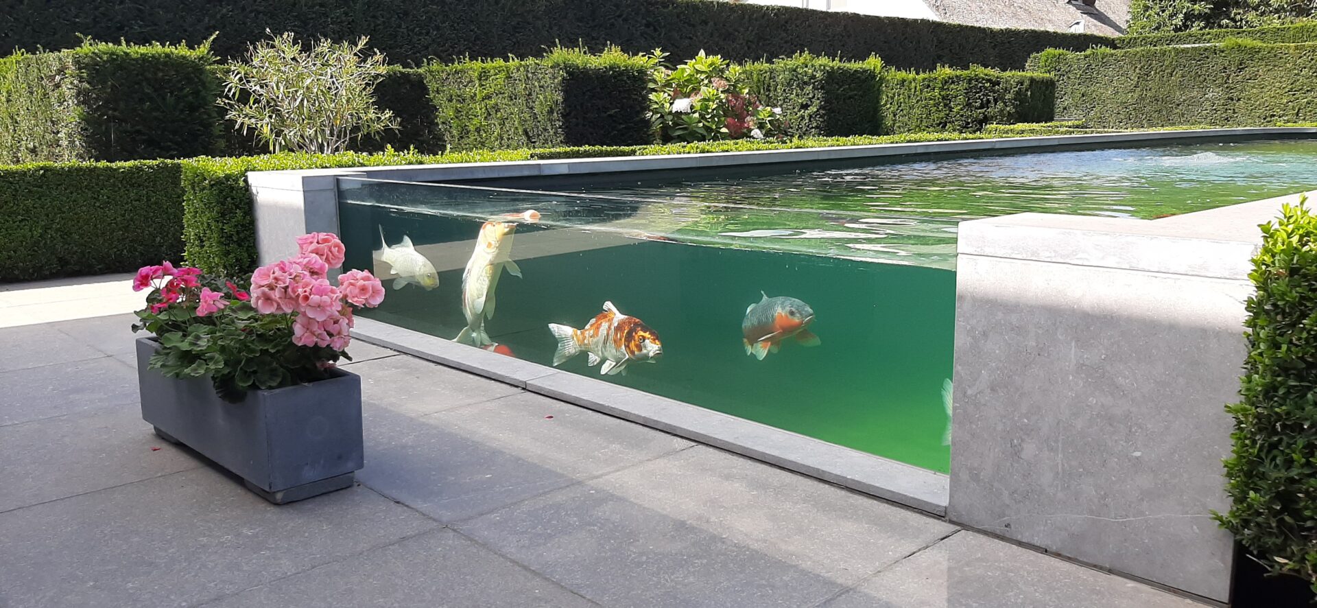 Solitherm visvijver 20200910 141646